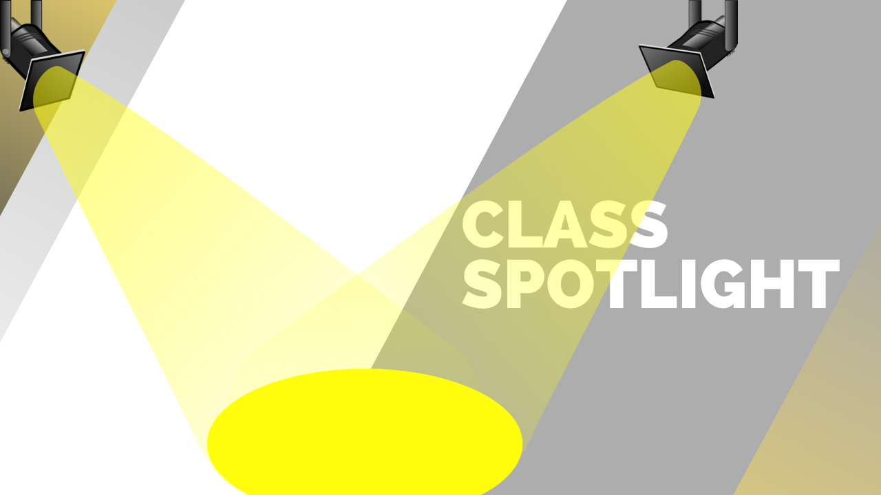 Starbrite class spotlights